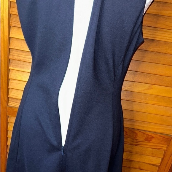 Gorgeous Eliza J. Deep Navy and Hot Pink Dress Size 4 - Picture 9 of 10